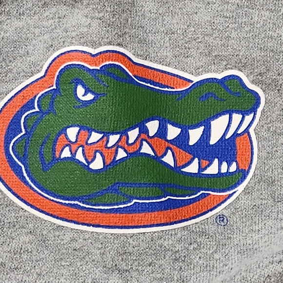 NIKE UNIVERSITY OF FLORIDA GATORS FOOTBALL HOODED SWEATSHIRT SIZE XXL - Picture 3 of 6